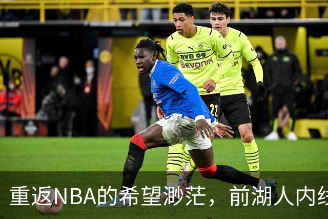 重返NBA的希望渺茫，前湖人内线杰米森被猛龙裁掉